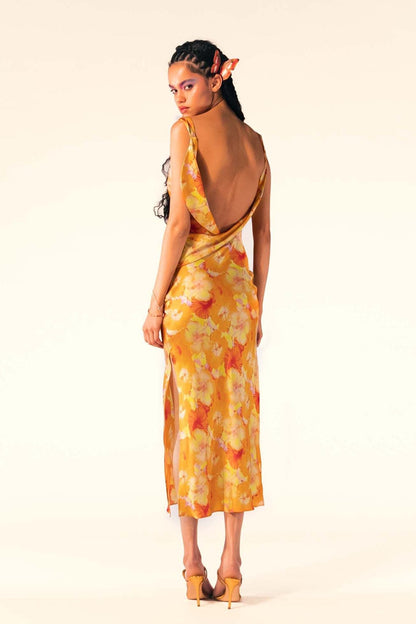 Alesha maxi jurk met print