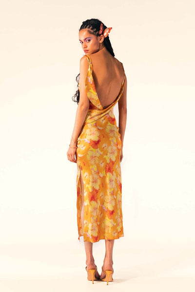 Alesha maxi jurk met print